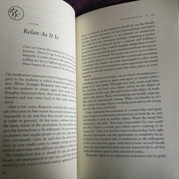 Pema Chodron When Things Fall Apart Paperback Buudhist - Picture 3 of 8